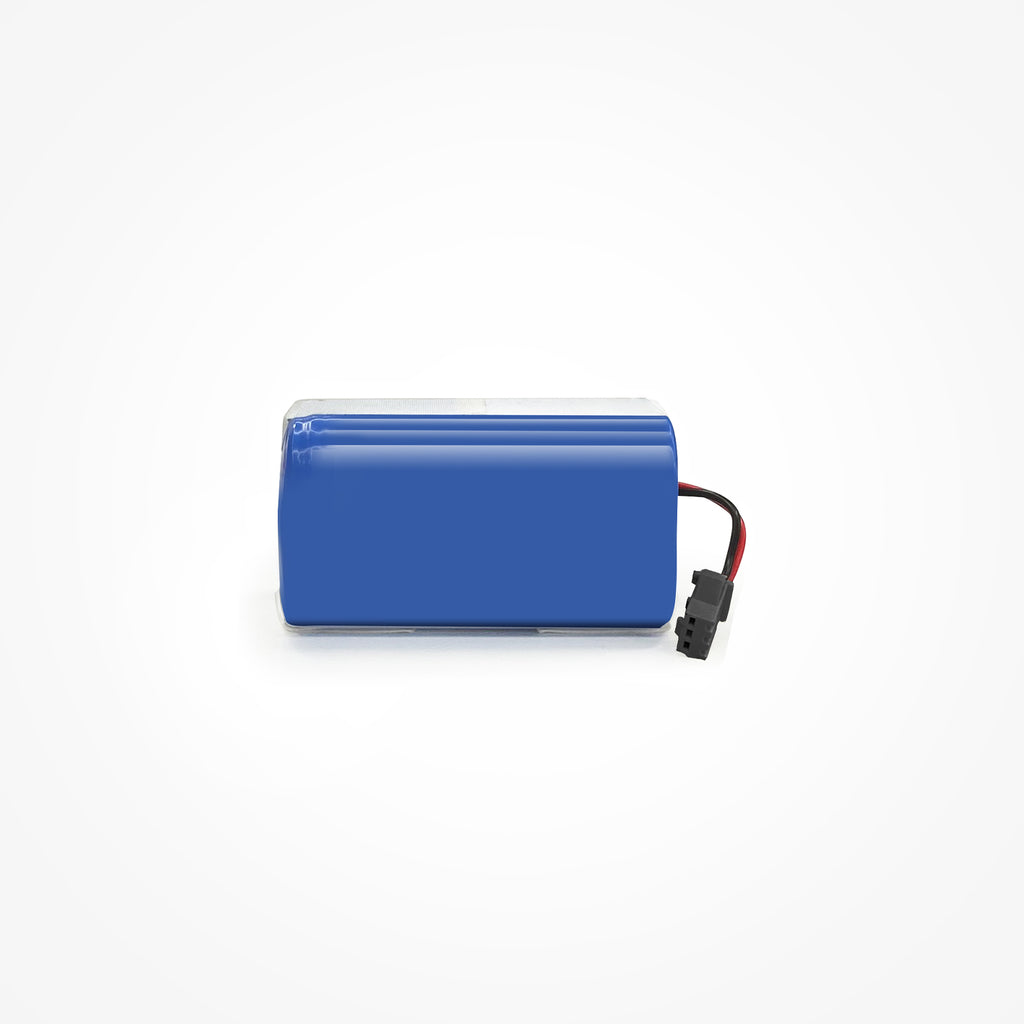 D10 Batterie rechargeable